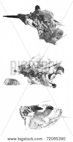 Creative watercolor and mixed media blak and white abstract or design element, isolated on paper background