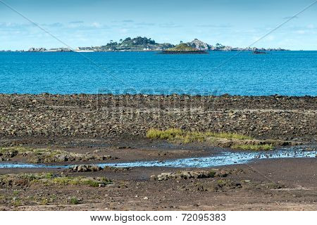 Bight Of Beauport At Low Tide (france)