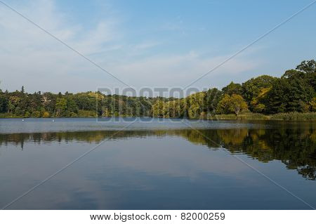 Beautiful Lake In The Summer