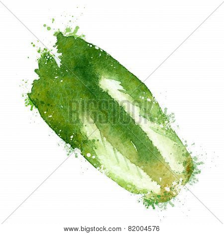cabbage vector logo design template. vegetable or food icon.