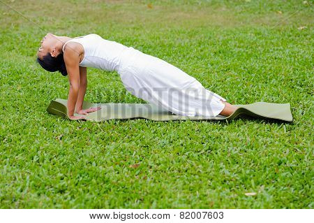 Beautiful Woman Practicing Yoga In The Park
