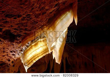 Cave Bacon