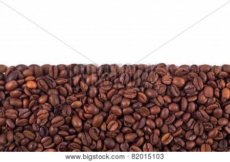 Coffee Stripe