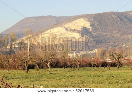 landscape