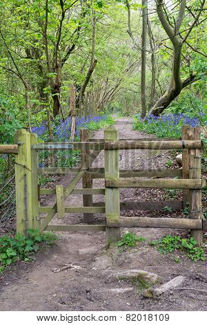 Wooden Gate