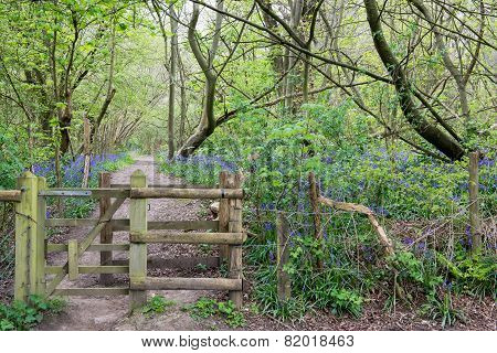 Wooden Gate