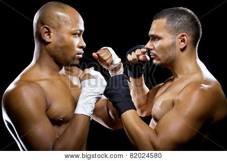 Boxer Rivals