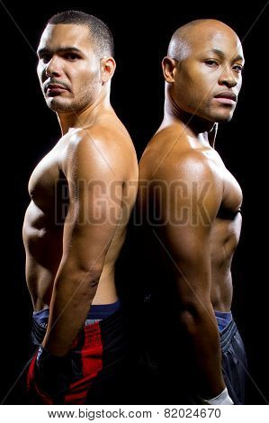 Boxer Rivals