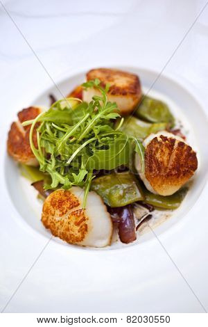 Saint-jacques Scallops
