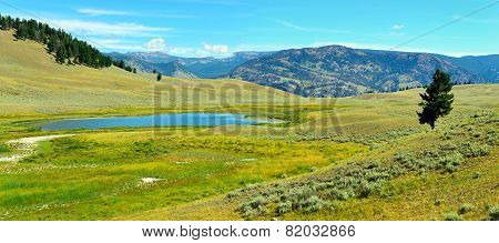 Blacktail Plateau In Yellowstone National Park, Wyoming In Summer