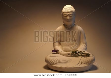 little buddha