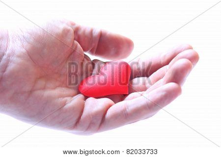 Holding a heart