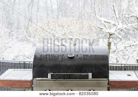 Bbq In The Snow