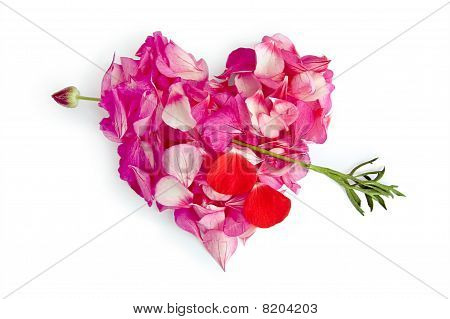 The Heart Of The Flower Petals