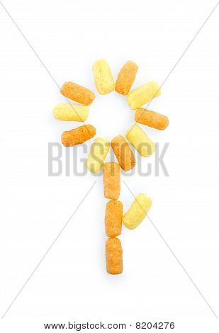 Blume des Mais-sticks