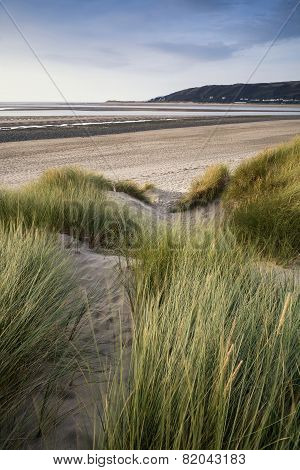 Summer Evening Landscape View Over Grassy Sand Dunes On Beach