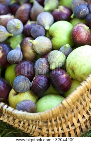 Figs And Apple
