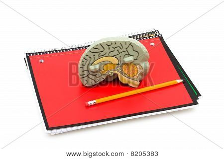 Bestuderen van gezondheidszorg
