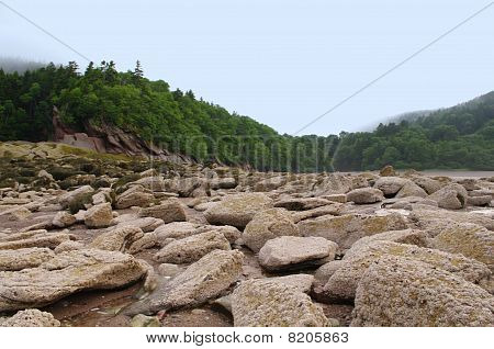 Fundy National Park, Herring Cove durante la bassa marea