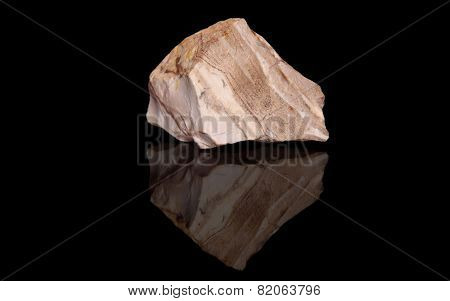 Jasper zebra