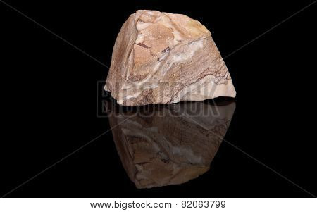 Jasper zebra
