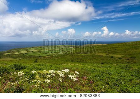 Cornish coast between Lands End and St. Ives, Cornwall, England