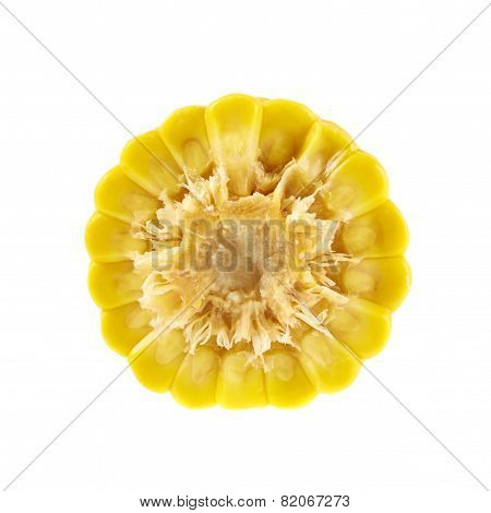 Cornstick corn on the cob cutaway