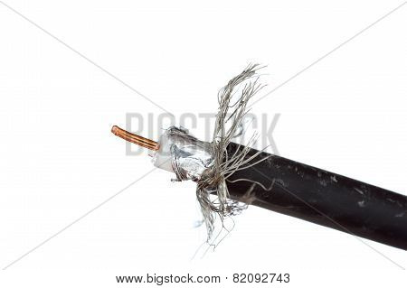 Coaxial Cable