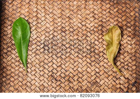 Green Leaf On Hand Work Bamboo Texture