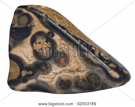 Leopard Skin Jasper