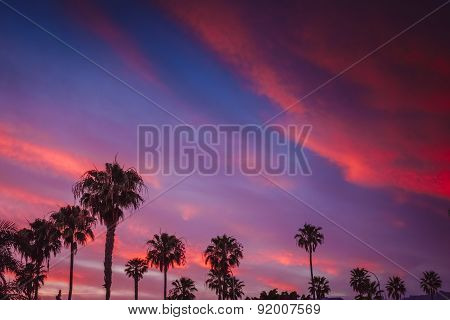 Dramatic Sunset
