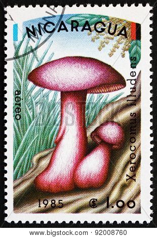 Postage Stamp Nicaragua 1985 Xerocomus Illudens, Mushroom