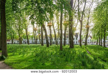 Tree Houses In The Beguinage Garden In Bruges