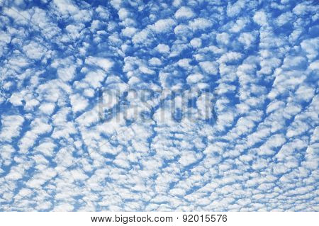 Cloudscape With Altocumulus Clouds