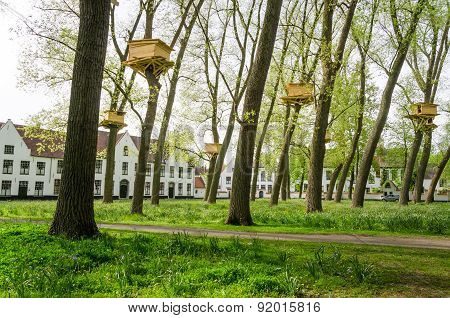Tree Houses In The Beguinage Garden, Bruges