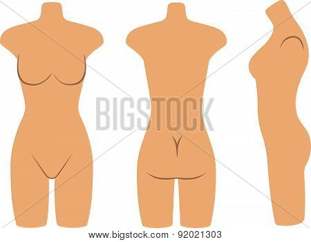 Woman mannequin torso flat style