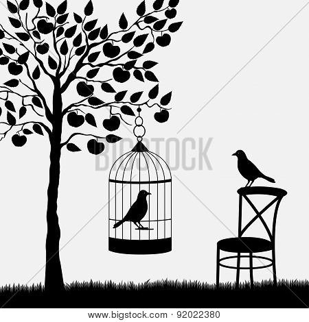 Bird Cage With Bird Hanging From Apple Tree