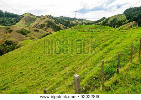 Northland Hills