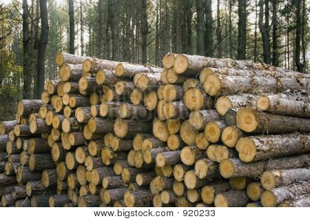 Logging Stack