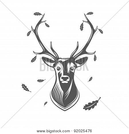 Vector Deer Head With Oak Leaves.