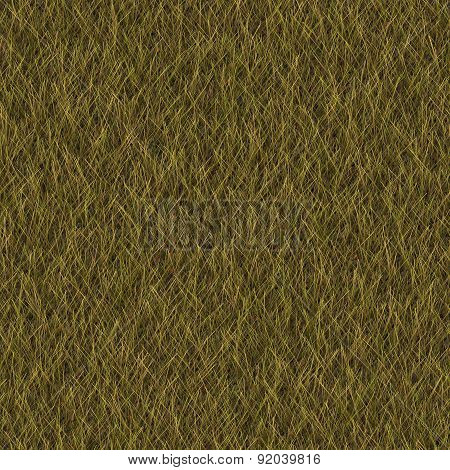 Grass Generated Seamless Texture