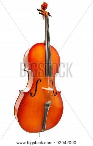 Violoncello on white background in full length