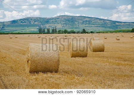 Dry rural field with hay stacks