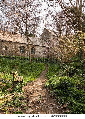 Minster Church In Valency Woods Near Boscastle