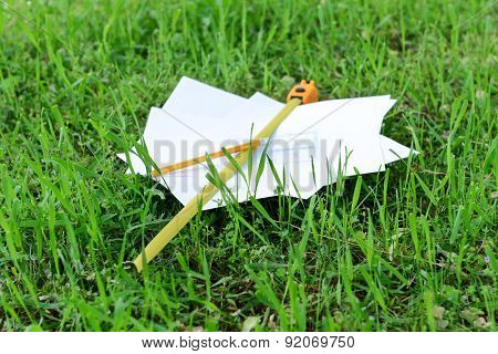 Drawings with pencil and roulette on green grass