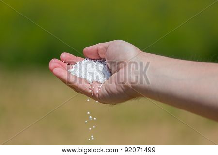 Hand Full Of Small Fertilizer