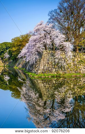 HIkon Castle Moat
