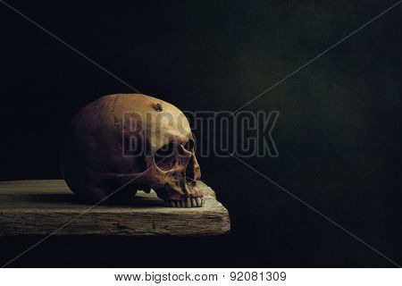 Vanitas Still Life, Death And Resurrection