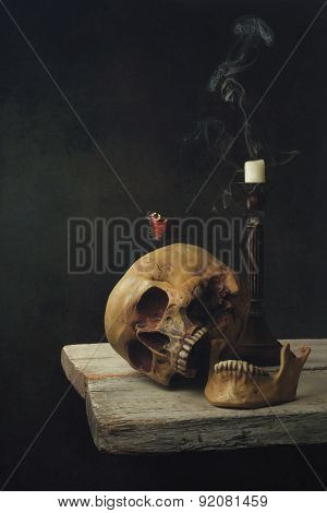 Vanitas Life, Death And Resurrection