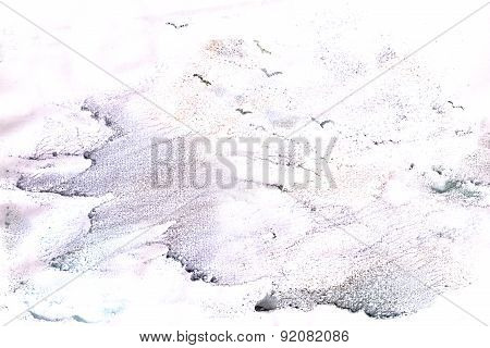 Seagulls
